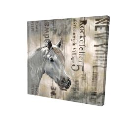 Rustic white horse - 08x08 Print on canvas