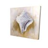 Conical shell - 08x08 Print on canvas