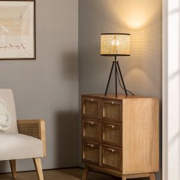 Temesa Rattan 21.3&quot; Table Lamp with In-line Switch Control and Metal Legs