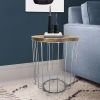 25 Inch Mango Wood Round Side End Accent Table; Tapered Slatted Cage Design; Handcrafted; Natural; Chrome; DunaWest