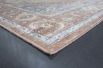 Damara Beige; Rust; Multi-color Viscose Area Rug 5x8