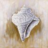 Conical shell - 08x08 Print on canvas