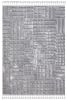 Graphics Gray and Beige Polyester Area Rug 8x10