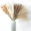 60/62/76/80/85/100pcs Boho Pampas Grass Bouquet Home Decor Floral Dried Flowers Wedding Arrangements Natural Reed Bunny Tails